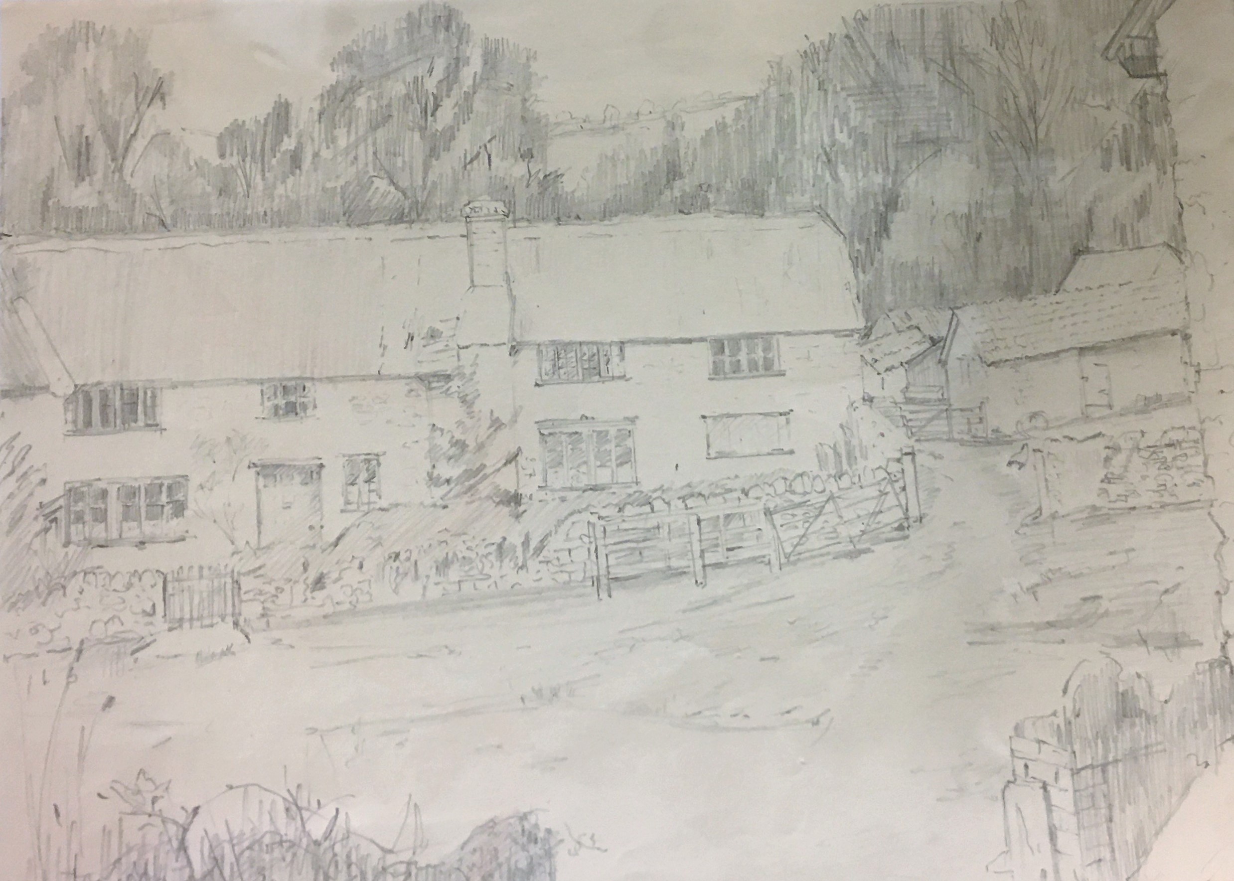 Original Pencil Drawing